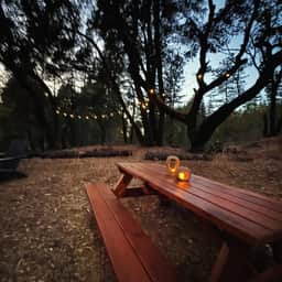 Airstream Glamping Near Big Basin State Park - Image 4