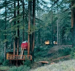 Suspended Tent Cabin Treehouse in the Redwoods - Image 2