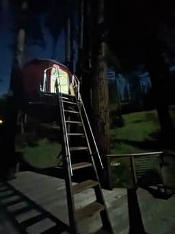 Suspended Tent Cabin Treehouse in the Redwoods - Image 3