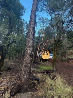 Luxe Glamping Cabin Near Big Basin State Park - Image 3